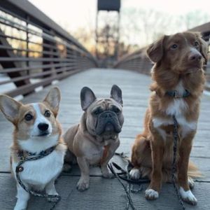 Image post by @fargoparks on Instagram