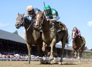Image post by @spendthriftfarm on Instagram
