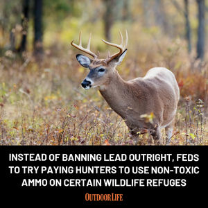 Image post by @outdoor_life on Instagram