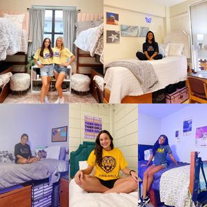 Image post by @lsutigergirls on Instagram