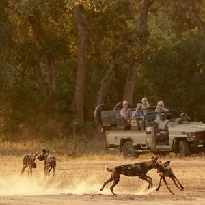Image post by @chiawasafaris on Instagram