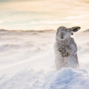 Image post by @discovery on Instagram