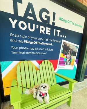 Image post by @sdterminal on Instagram