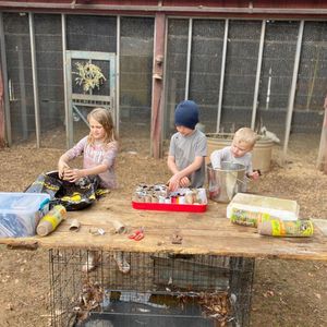 Image post by @kidsgardening on Instagram