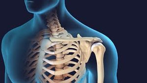 Video post by @nucleusmedicalmedia on YouTube