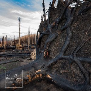Image post by @lightboximages on Instagram
