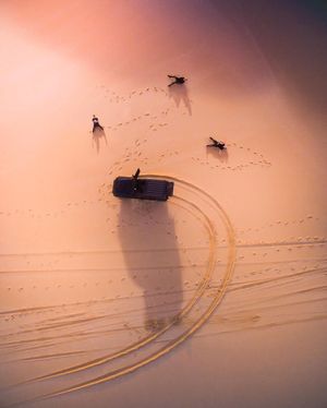 Image post by @dronepals on Instagram