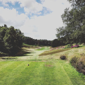 Image post by @oliver_wilson on Instagram