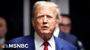 Video post by @msnbc on YouTube