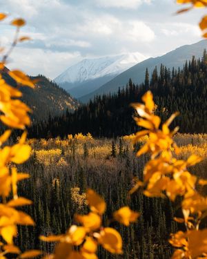 Image post by @nationalparkspartnership on Instagram
