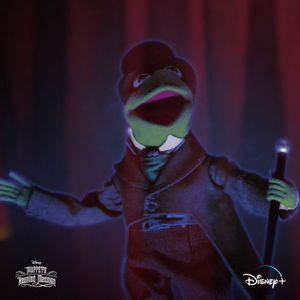 Image post by @kermitthefrog on Instagram