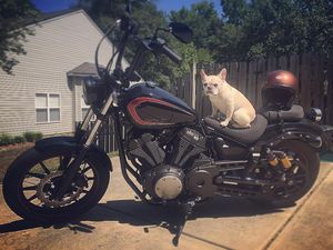 Image post by @aimexpo on Instagram