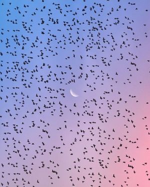 Image post by @fubiz on Instagram