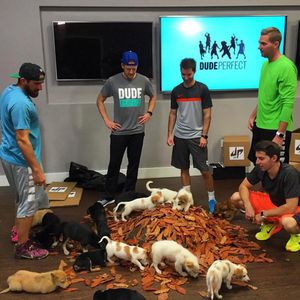 Image post by @dudeperfect on Instagram