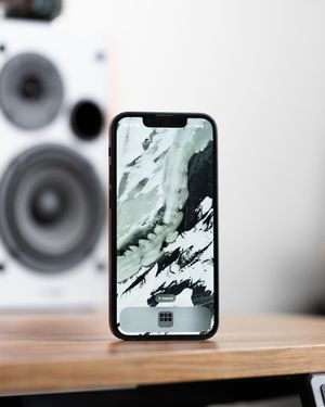Image post by @tielerfriedline on Instagram