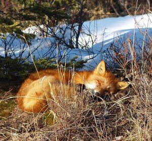 Image post by @nationalparkservice on Instagram
