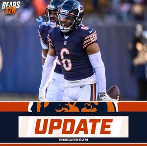 Image post by @bearsszn on Instagram