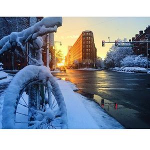 Image post by @bostonu on Instagram