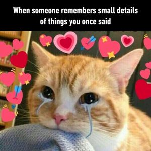 Image post by @9gag on Instagram