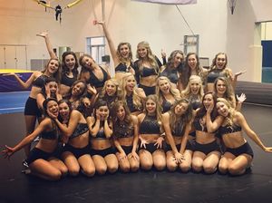 Image post by @lsutigergirls on Instagram