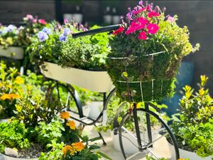 Image post by @rogersgardens on Instagram