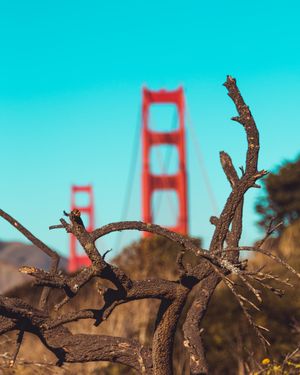 Image post by @martemedia on Instagram