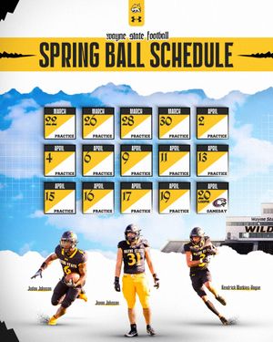 Image post by @WayneStFootball on Twitter/X