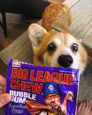 Image post by @bigleaguechewgum on Instagram