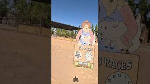 Video post by @abc15 on YouTube