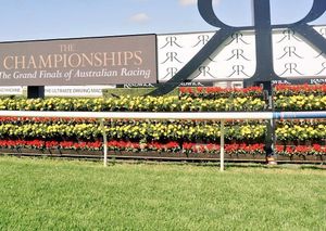 Image post by @australianturfclub on Instagram