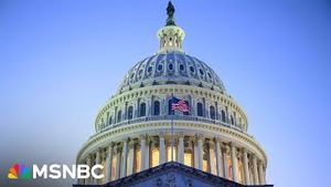 Video post by @msnbc on YouTube