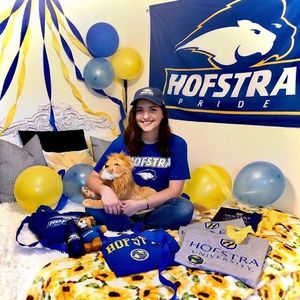Image post by @hofstrau on Instagram