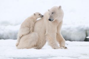 Image post by @discovery on Instagram