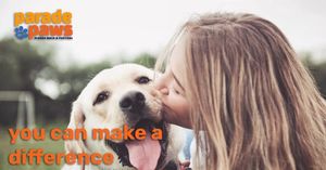 Image post by @spokhumanesoc on Instagram