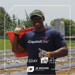 Image post by @jkmoving on Instagram