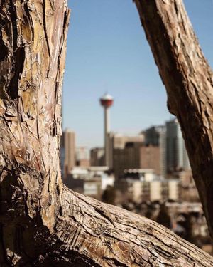 Image post by @cityofcalgary on Instagram