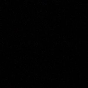 Image post by @panthersifl on Instagram