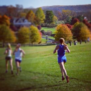Image post by @hofstratrackxc on Instagram