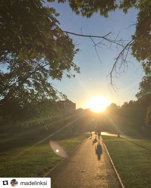 Image post by @studentlifeosu on Instagram