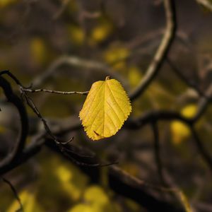 Image post by @yfnphotography on Instagram