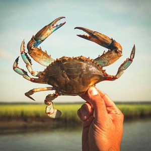 Image post by @toadfishoutfitters on Instagram