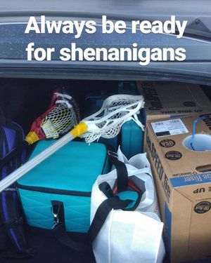 Image post by @washeduplaxbros on Instagram