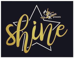 Image post by @akadancestudio on Instagram