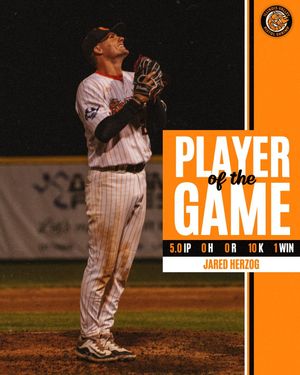 Image post by @pistolshrimpbaseball on Instagram