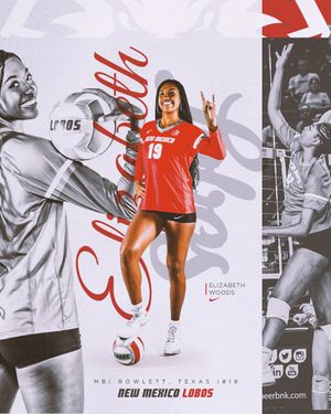 Image post by @UNMLoboVB on Twitter/X