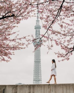 Image post by @gracefkim on Instagram
