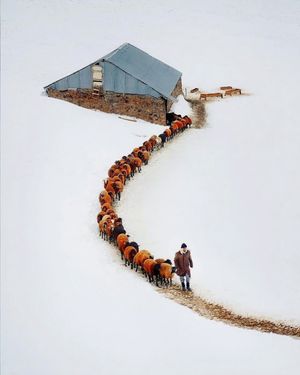 Image post by @fubiz on Instagram