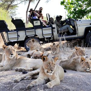 Image post by @chiawasafaris on Instagram