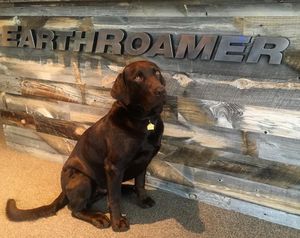 Image post by @earthroamer on Instagram