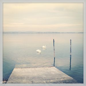 Image post by @susie_wolff on Instagram